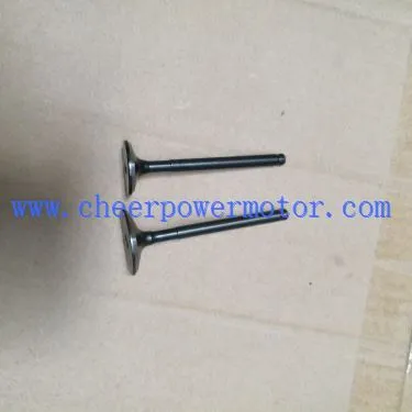 Motorcycle Part Cav Valve Rau YX160