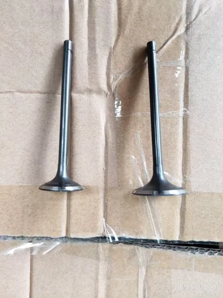 Motorcycle Valve Inlet Exhaust Set Rau TRAXX TX150GY-2