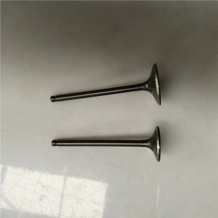CB250 Inlet Cav Valve Rau Motorcycle